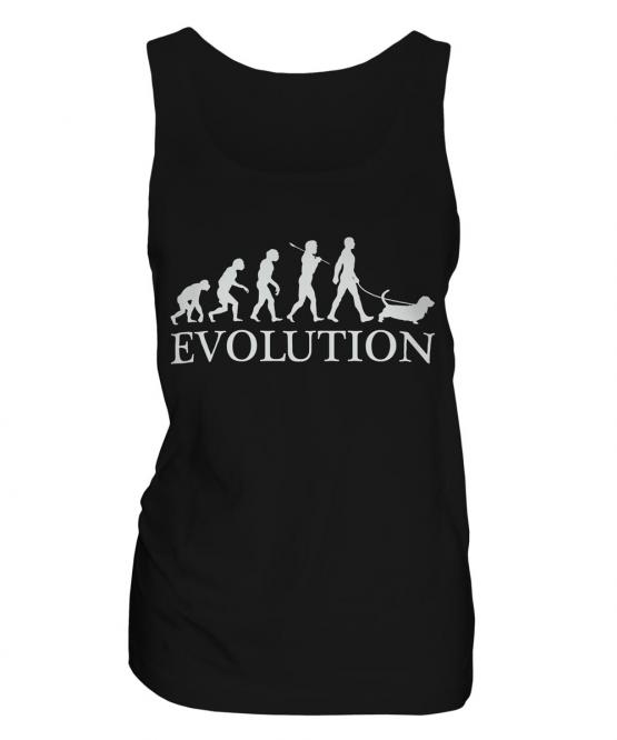 Basset Hound Evolution Ladies Vest