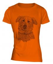 Aidi Sketch Ladies T-Shirt