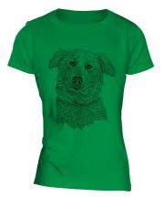 Aidi Sketch Ladies T-Shirt