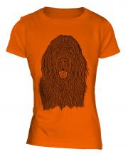 Newfoundland Sketch Ladies T-Shirt