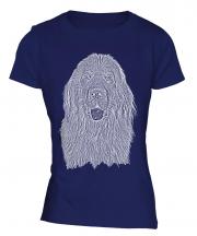 Newfoundland Sketch Ladies T-Shirt