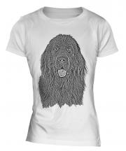 Newfoundland Sketch Ladies T-Shirt