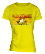 New Brunswick Distressed Flag Ladies T-Shirt