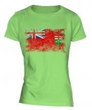 Ontario Distressed Flag Ladies T-Shirt
