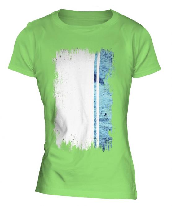 Altai Republic Grunge Flag Ladies T-Shirt