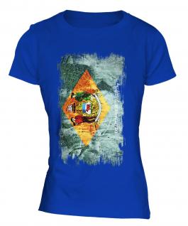 Delaware State Grunge Flag Ladies T-Shirt