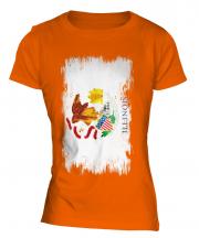 Illinois State Grunge Flag Ladies T-Shirt