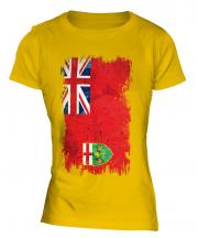 Ontario Grunge Flag Ladies T-Shirt