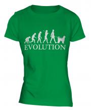 Afghan Hound Evolution Ladies T-Shirt