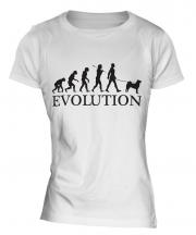 Akita Inu Evolution Ladies T-Shirt
