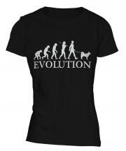 Alaskan Klee Kai Evolution Ladies T-Shirt