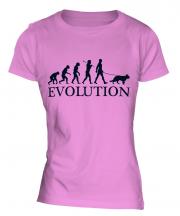 Alsatian Evolution Ladies T-Shirt