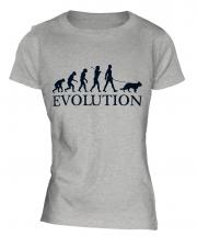 Alsatian Evolution Ladies T-Shirt