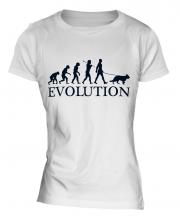 Alsatian Evolution Ladies T-Shirt