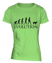 American Bulldog Evolution Ladies T-Shirt