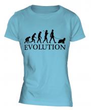 American Cocker Spaniel Evolution Ladies T-Shirt