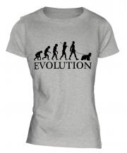 American Cocker Spaniel Evolution Ladies T-Shirt