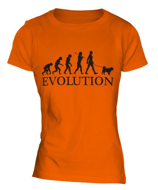 American Eskimo Dog Evolution Ladies T-Shirt