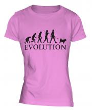 American Eskimo Dog Evolution Ladies T-Shirt