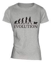 American Eskimo Dog Evolution Ladies T-Shirt
