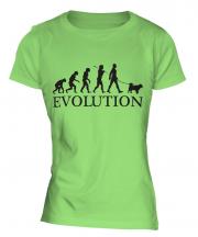 American Eskimo Dog Evolution Ladies T-Shirt