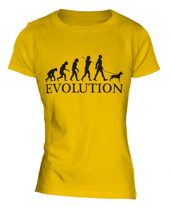 Staffordshire Terrier Evolution Ladies T-Shirt