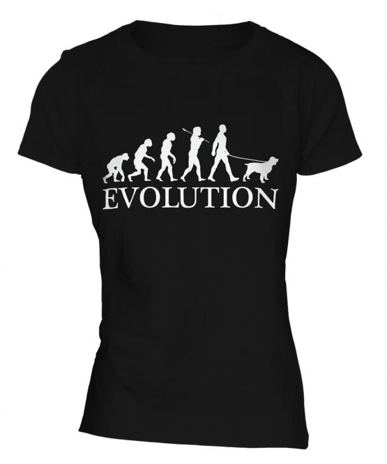 Water Spaniel Evolution Ladies T-Shirt