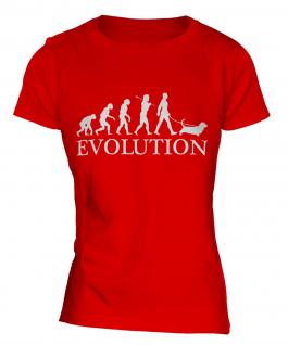 Basset Hound Evolution Ladies T-Shirt