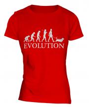 Basset Hound Evolution Ladies T-Shirt