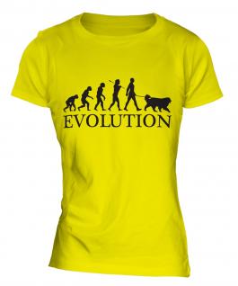 Bernese Mountain Dog Evolution Ladies T-Shirt