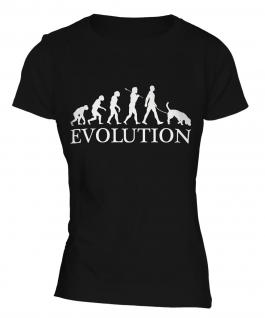 Coonhound Evolution Ladies T-Shirt