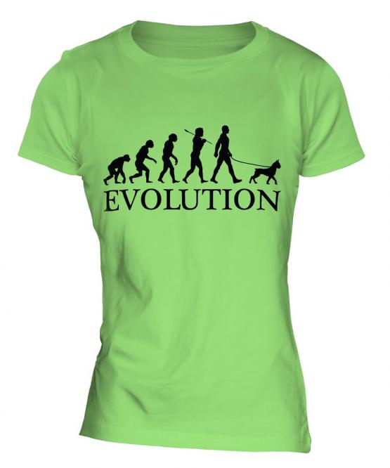 Boxer Dog Evolution Ladies T-Shirt