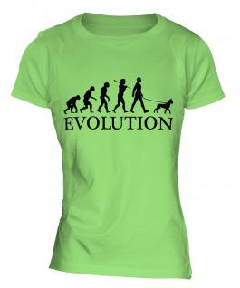Boxer Dog Evolution Ladies T-Shirt