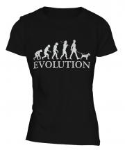 Bull Terrier Evolution Ladies T-Shirt