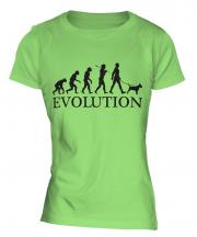 Bull Terrier Evolution Ladies T-Shirt
