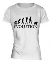 Chow Chow Evolution Ladies T-Shirt