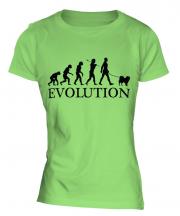 Chow Chow Evolution Ladies T-Shirt