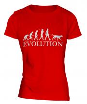 Dalmatian Evolution Ladies T-Shirt