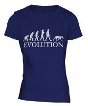 Doberman Pinscher Evolution Ladies T-Shirt
