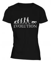Doberman Pinscher Evolution Ladies T-Shirt