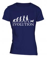 English Cocker Spaniel Evolution Ladies T-Shirt