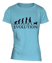 English Cocker Spaniel Evolution Ladies T-Shirt