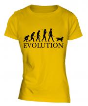 English Cocker Spaniel Evolution Ladies T-Shirt