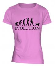 English Cocker Spaniel Evolution Ladies T-Shirt