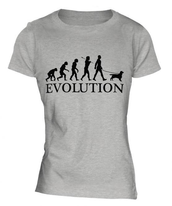 English Cocker Spaniel Evolution Ladies T-Shirt