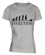 English Cocker Spaniel Evolution Ladies T-Shirt