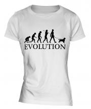 English Cocker Spaniel Evolution Ladies T-Shirt