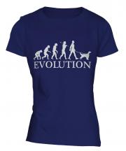 English Setter Evolution Ladies T-Shirt
