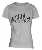 English Setter Evolution Ladies T-Shirt