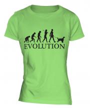 English Setter Evolution Ladies T-Shirt